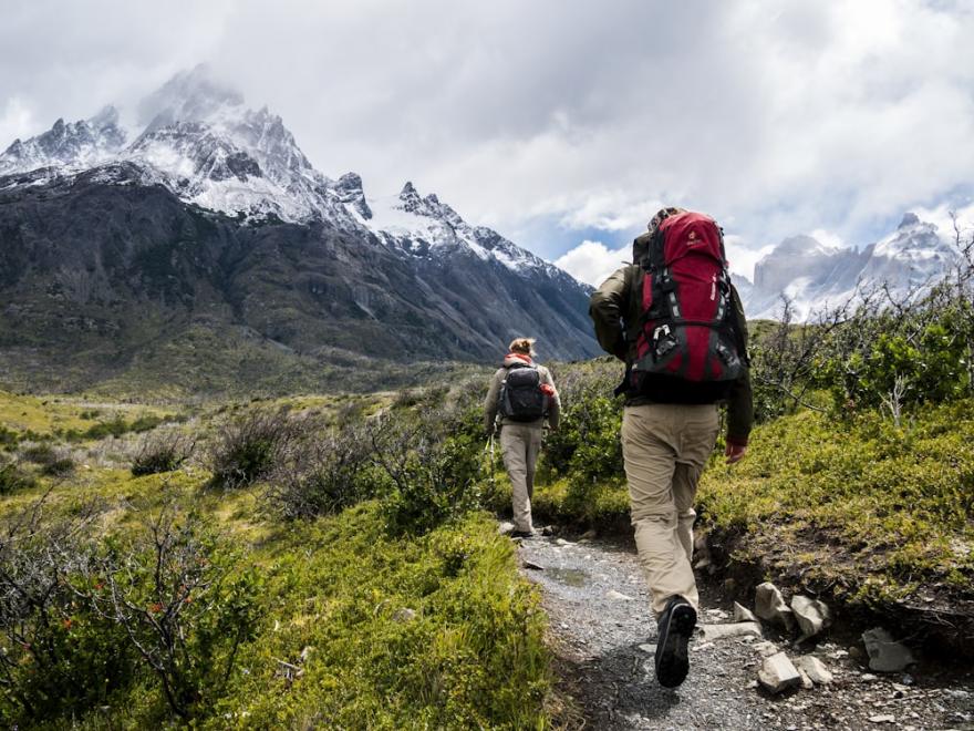 Guided Forest Trek